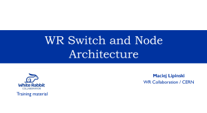 WR Switch and Node Architecture